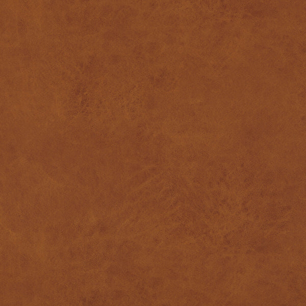 Samples and Purchasing available for Lexham - Amber Orange By Baker Lifestyle | Notebooks |Solid Texture Upholstery  at Designer Wallcoverings and Fabrics