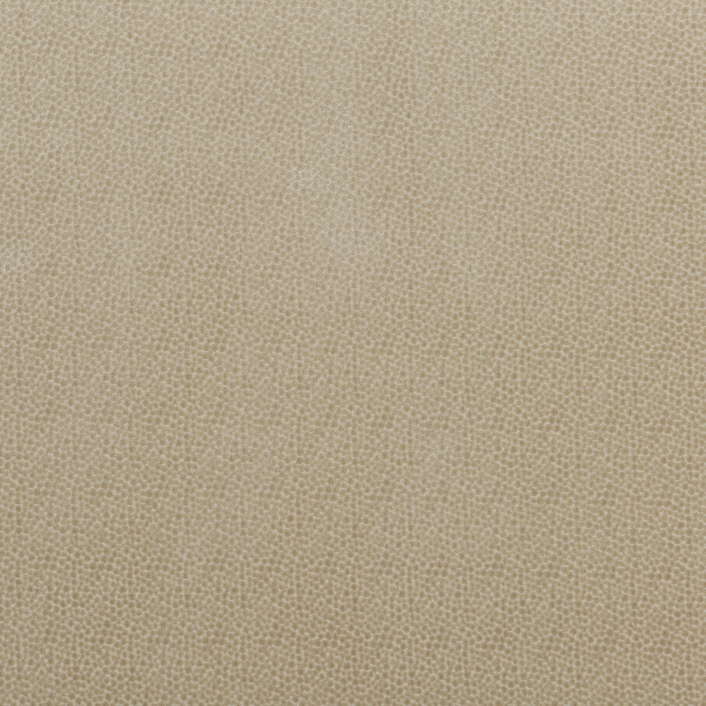 Samples and Purchasing available for Salsa Spot - Parchment Beige By Baker Lifestyle | Carnival |  Upholstery Velvet at Designer Wallcoverings and Fabrics