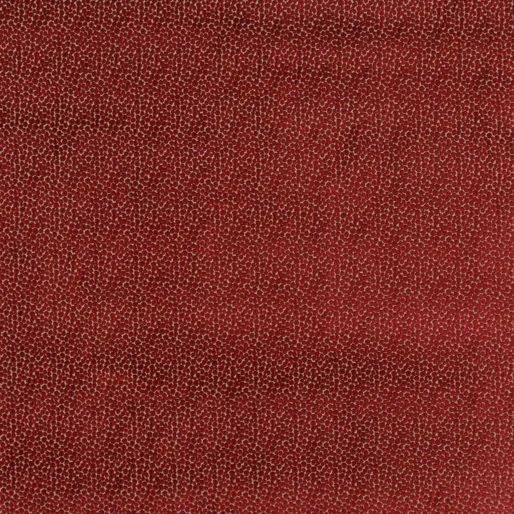 Samples and Purchasing available for Salsa Spot - Red Red By Baker Lifestyle | Carnival |  Upholstery Velvet at Designer Wallcoverings and Fabrics