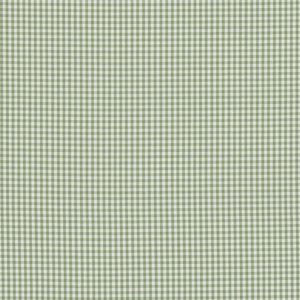 Samples and Purchasing available for Sherborne Gingham - Green Green By Baker Lifestyle | Bridport |Stripes  Multipurpose  at Designer Wallcoverings and Fabrics