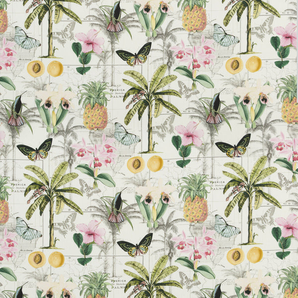 Samples and Purchasing available for Orinoco - Tropical Multi By Baker Lifestyle | Carnival |  Multipurpose Print at Designer Wallcoverings and Fabrics