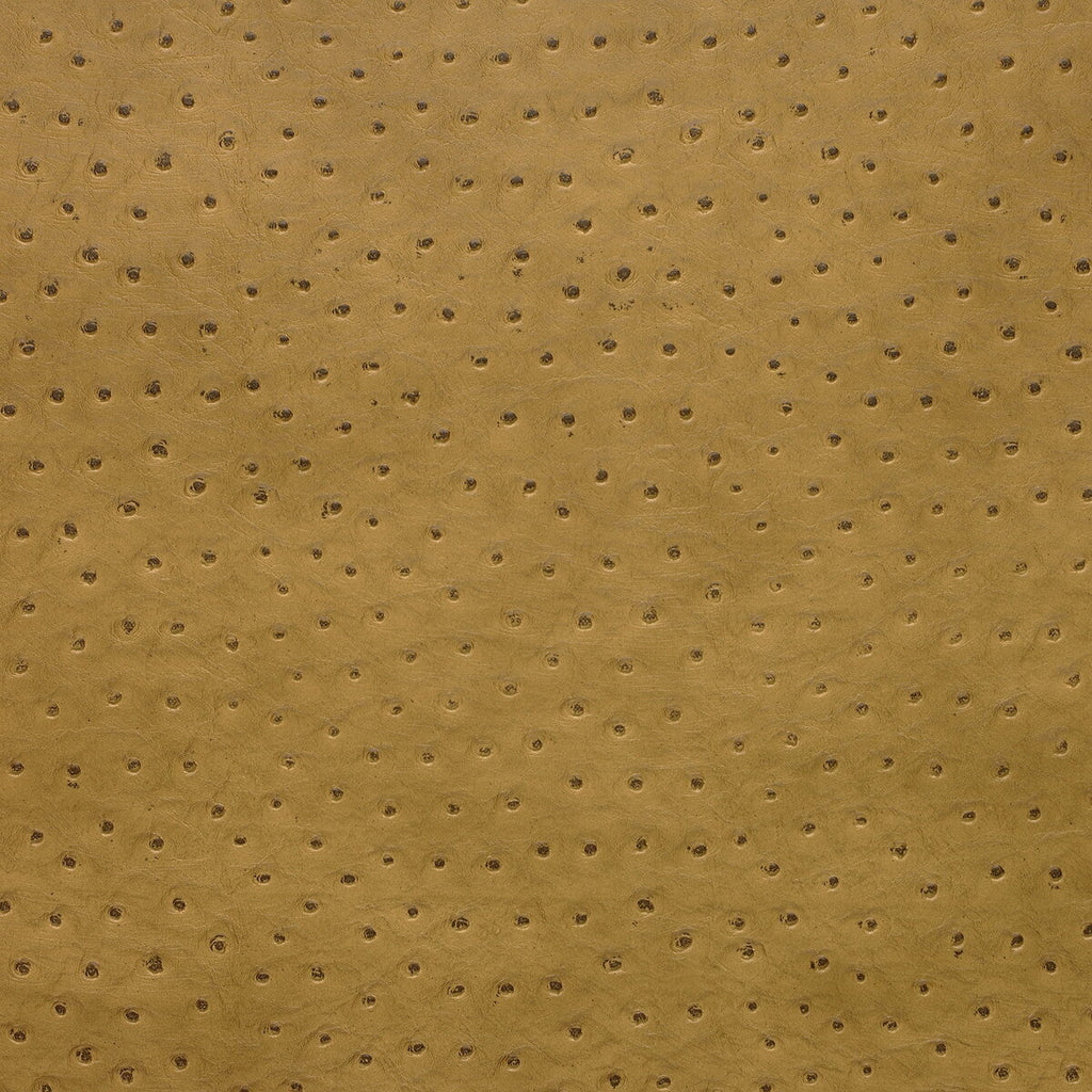 Samples and Purchasing available for Kravet Design - Senna-4 Yellow By Kravet Design |  |Animal Skins  Upholstery Vinyl/Faux Leather at Designer Wallcoverings and Fabrics