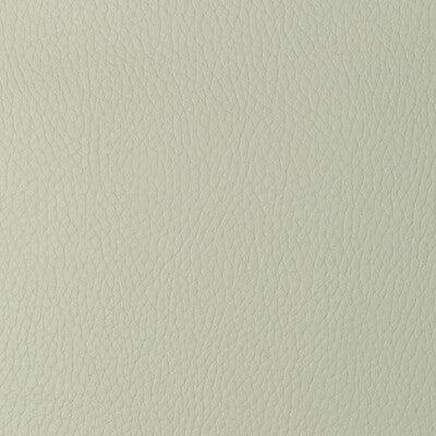 Samples and Purchasing available for Kravet Design - Sugarmaple-101 White By Kravet Design |  |Solid Texture Upholstery Vinyl/Faux Leather at Designer Wallcoverings and Fabrics