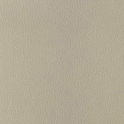 Samples and Purchasing available for Kravet Design - Sugarmaple-1 White By Kravet Design |  |Solid Texture Upholstery Vinyl/Faux Leather at Designer Wallcoverings and Fabrics