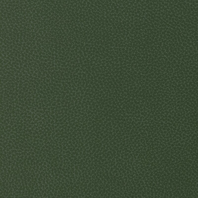 Samples and Purchasing available for Kravet Design - Sweetgum-30 Green By Kravet Design |  |Animal Skins Solid Upholstery Vinyl/Faux Leather at Designer Wallcoverings and Fabrics