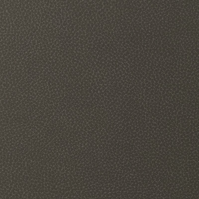 Samples and Purchasing available for Kravet Design - Sweetgum-86 Brown By Kravet Design |  |Animal Skins Solid Upholstery Vinyl/Faux Leather at Designer Wallcoverings and Fabrics