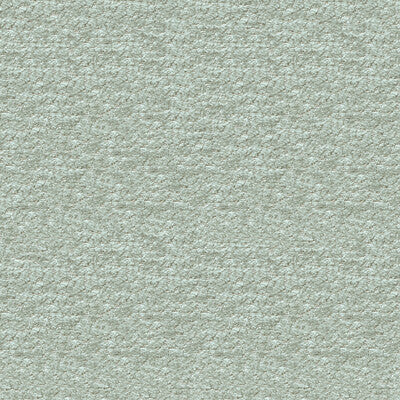 Samples and Purchasing available for Tp-240996 - 115 Light Blue By Kravet Design | Candice Olson Collection | Animal Skins Upholstery Chenille at Designer Wallcoverings and Fabrics