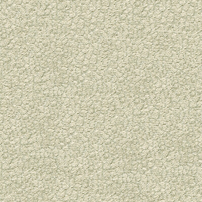 Samples and Purchasing available for Tp-240996 - 11 Light Grey By Kravet Design | Candice Olson Collection | Animal Skins Upholstery Chenille at Designer Wallcoverings and Fabrics