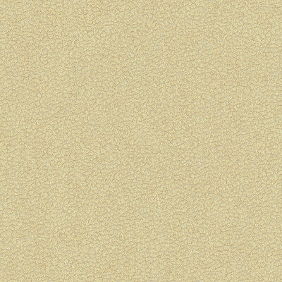 Samples and Purchasing available for Tp-240996 - 16 Beige By Kravet Design | Candice Olson Collection | Animal Skins Upholstery Chenille at Designer Wallcoverings and Fabrics