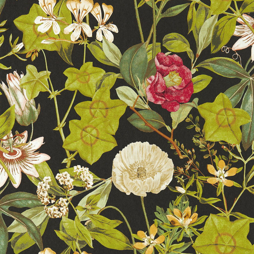 Samples and Purchasing available for Passiflora - Noir Wp Black By Clarke And Clarke | Clarke & Clarke Exotica 2 Luxury Wallcovering | Botanical & Floral Wallcovering Print at Designer Wallcoverings and Fabrics