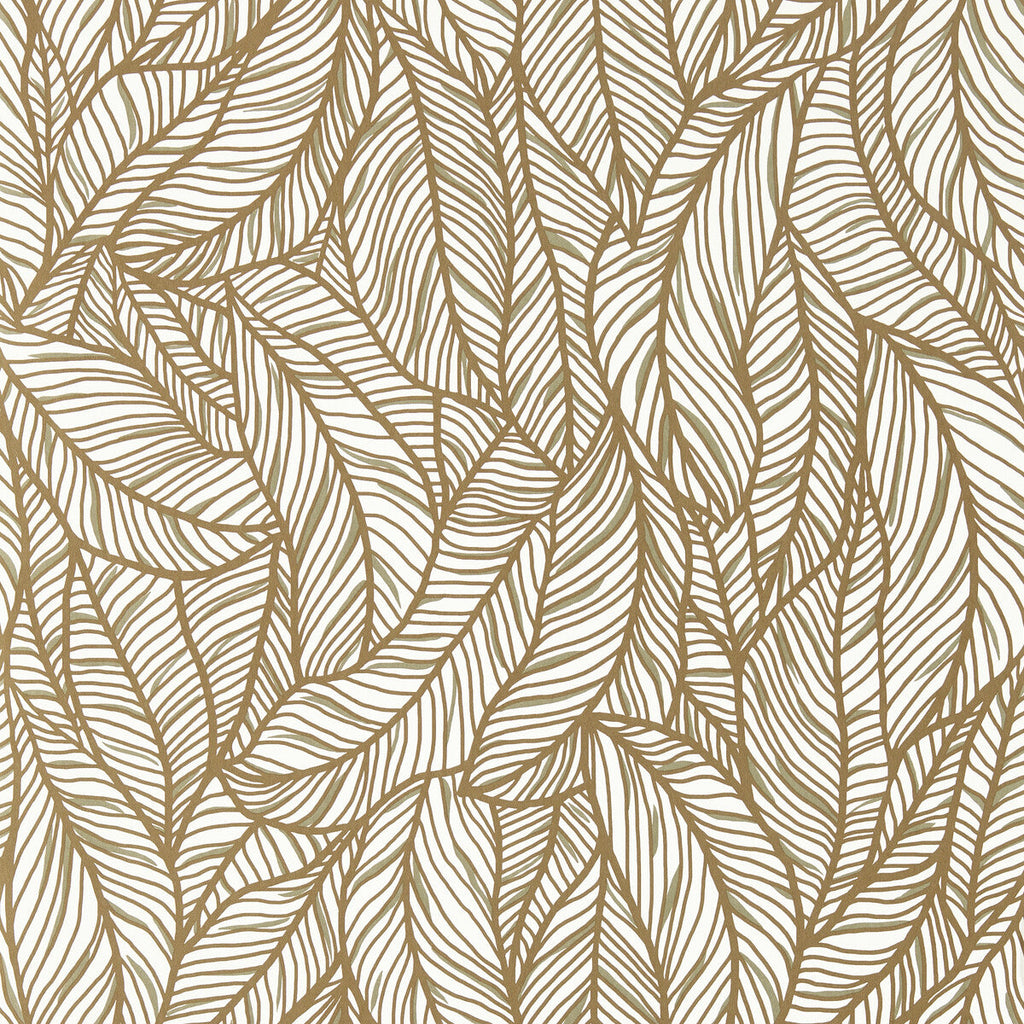 Samples and Purchasing available for Selva - Bronze/Ivory Wp Bronze By Clarke And Clarke | Clarke & Clarke Exotica 2 Luxury Wallcovering | Botanical & Floral Wallcovering Print at Designer Wallcoverings and Fabrics