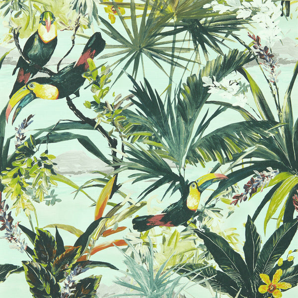 Samples and Purchasing available for Toucan - Sky Wp Blue By Clarke And Clarke | Clarke & Clarke Exotica 2 Luxury Wallcovering |Animal/Insects Botanical & Floral Wallcovering Print at Designer Wallcoverings and Fabrics