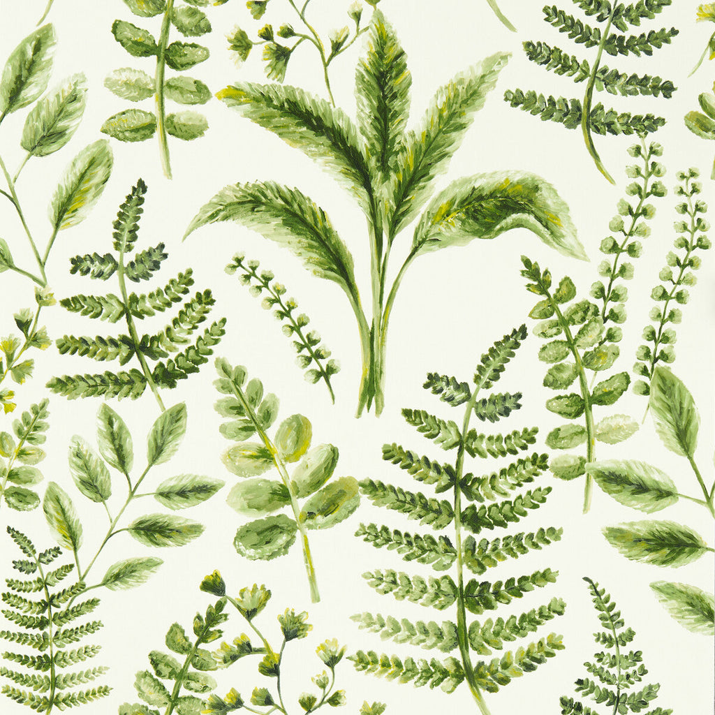 Samples and Purchasing available for Bracken - Forest Wp Green By Clarke And Clarke | Clarke & Clarke Marianne Wallcovering | Botanical & Floral Wallcovering Print at Designer Wallcoverings and Fabrics