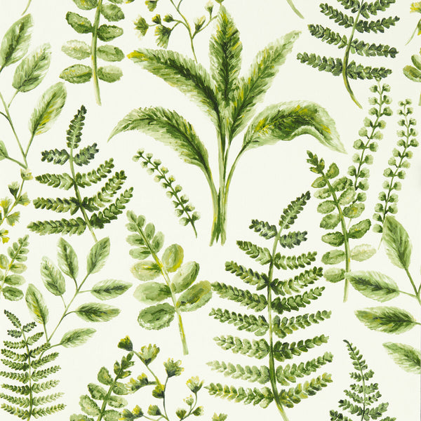 Samples and Purchasing available for Bracken - Forest Wp Green By Clarke And Clarke | Clarke & Clarke Marianne Wallcovering | Botanical & Floral Wallcovering Print at Designer Wallcoverings and Fabrics