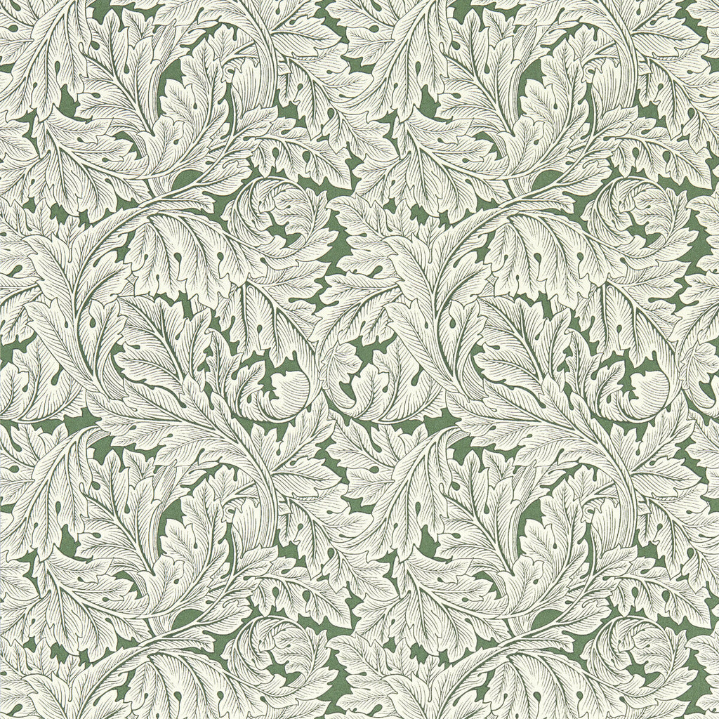 Samples and Purchasing available for Acanthus - Sage Wp Olive Green By Clarke And Clarke | Clarke & Clarke William Morris Wallcovering | Botanical & Floral Wallcovering Print at Designer Wallcoverings and Fabrics