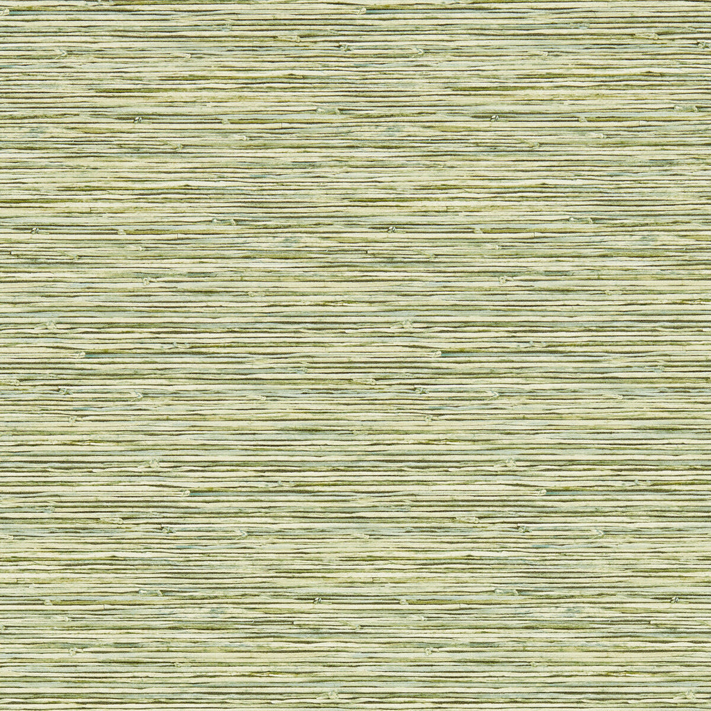 Samples and Purchasing available for Xan - Palm Wp Green By Clarke And Clarke | Clarke & Clarke Breegan Jane Wallcovering |Stripes Texture Wallcovering Print at Designer Wallcoverings and Fabrics