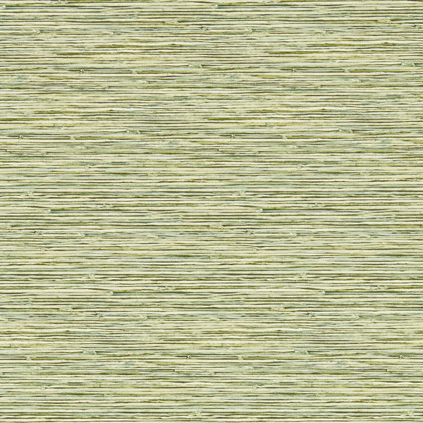 Samples and Purchasing available for Xan - Palm Wp Green By Clarke And Clarke | Clarke & Clarke Breegan Jane Wallcovering |Stripes Texture Wallcovering Print at Designer Wallcoverings and Fabrics