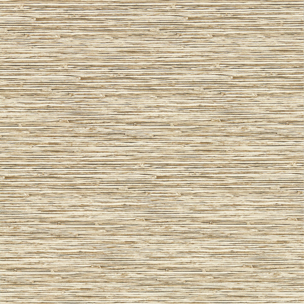 Samples and Purchasing available for Xan - Sahara Wp Brown By Clarke And Clarke | Clarke & Clarke Breegan Jane Wallcovering |Stripes Texture Wallcovering Print at Designer Wallcoverings and Fabrics