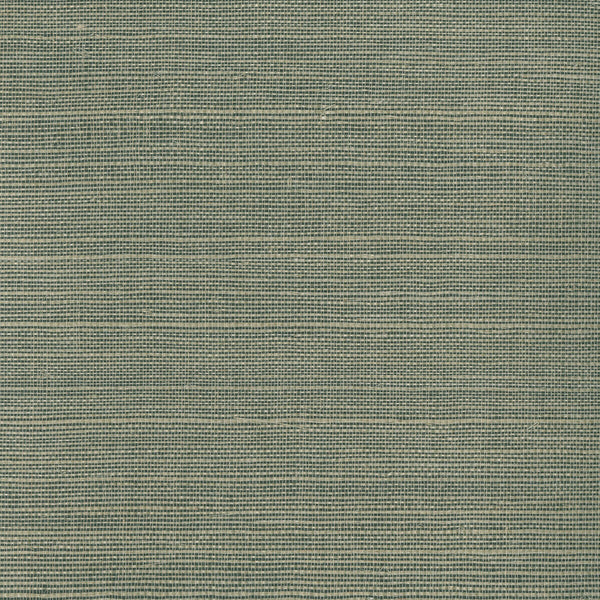 Samples and Purchasing available for Kravet Design - W3276-816 Beige By Kravet Design | Grasscloth Iii |Texture  Wallcovering Grasscloth at Designer Wallcoverings and Fabrics