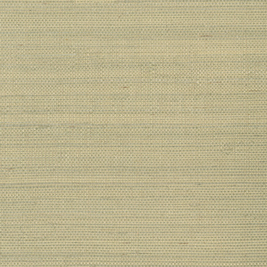 Samples and Purchasing available for Kravet Design - W3287-16 Beige By Kravet Design | Grasscloth Iii |Texture  Wallcovering Grasscloth at Designer Wallcoverings and Fabrics