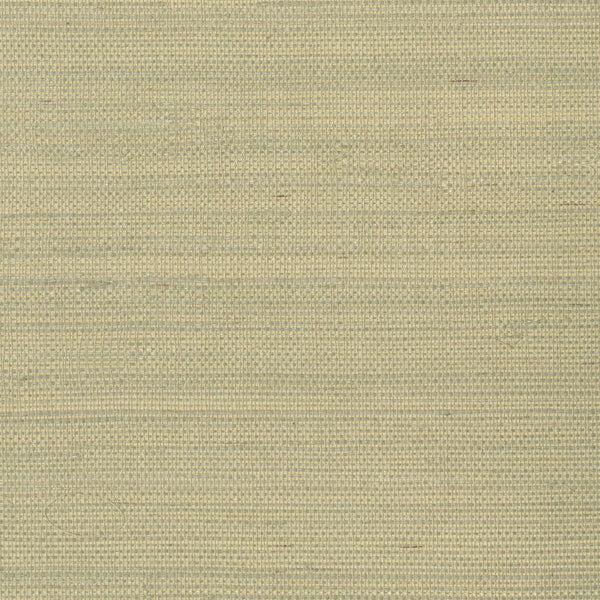 Samples and Purchasing available for Kravet Design - W3287-16 Beige By Kravet Design | Grasscloth Iii |Texture  Wallcovering Grasscloth at Designer Wallcoverings and Fabrics