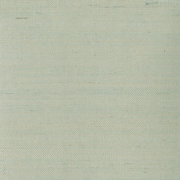 Samples and Purchasing available for Kravet Design - W3287-516 Light Blue By Kravet Design | Grasscloth Iii |Texture  Wallcovering Grasscloth at Designer Wallcoverings and Fabrics