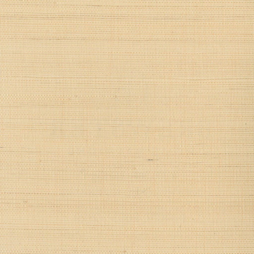 Samples and Purchasing available for Kravet Design - W3291-16 Beige By Kravet Design | Grasscloth Iii |Texture  Wallcovering Grasscloth at Designer Wallcoverings and Fabrics