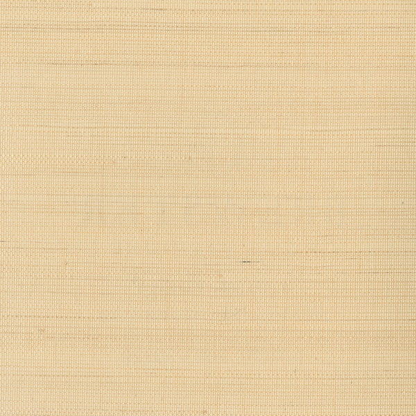 Samples and Purchasing available for Kravet Design - W3291-16 Beige By Kravet Design | Grasscloth Iii |Texture  Wallcovering Grasscloth at Designer Wallcoverings and Fabrics