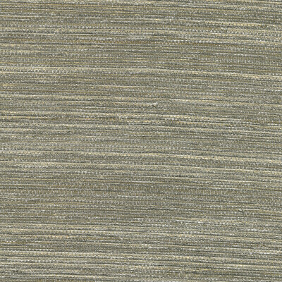 Samples and Purchasing available for Kravet Design - W3446-1611 Light Grey By Kravet Design | Elements Ii Naturals |Metallic Texture Wallcovering Grasscloth at Designer Wallcoverings and Fabrics