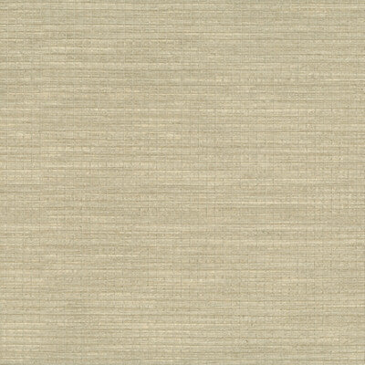 Samples and Purchasing available for Kravet Design - W3553-116 Beige By Kravet Design |  |Solid Texture Wallcovering Grasscloth at Designer Wallcoverings and Fabrics