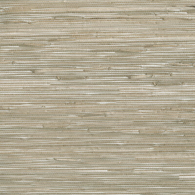 Samples and Purchasing available for Kravet Design - W3561-106 White By Kravet Design |  |Solid Texture Wallcovering  at Designer Wallcoverings and Fabrics