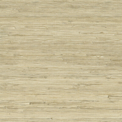 Samples and Purchasing available for Kravet Design - W3566-16 Beige By Kravet Design |  |Solid Texture Wallcovering Grasscloth at Designer Wallcoverings and Fabrics