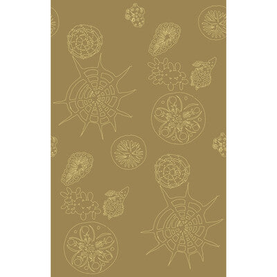 Samples and Purchasing available for Telescopic P - Sanddollar Wheat By Kravet Couture | Paperscape Artist Series |Novelty  Wallcovering Print at Designer Wallcoverings and Fabrics