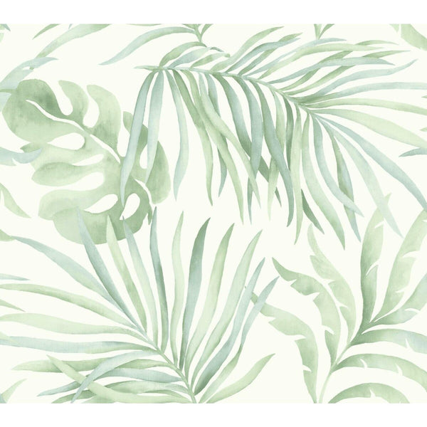 Samples and Purchasing available for Kravet Design - W3593-23 White By Kravet Design | Candice Olson Collection | Tropical Wallcovering Print at Designer Wallcoverings and Fabrics