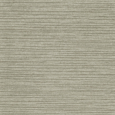 Samples and Purchasing available for Kravet Design - W3702-1121 Grey By Kravet Design |  | Texture Wallcovering  at Designer Wallcoverings and Fabrics