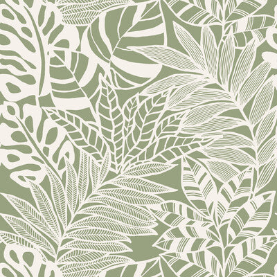 Samples and Purchasing available for Kravet Design - W3774-3 Green By Kravet Design |  |Botanical & Floral  Wallcovering Print at Designer Wallcoverings and Fabrics