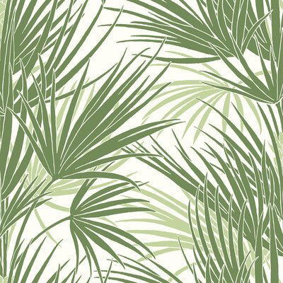 Samples and Purchasing available for Kravet Design - W3781-3 Green By Kravet Design |  | Tropical Wallcovering Print at Designer Wallcoverings and Fabrics