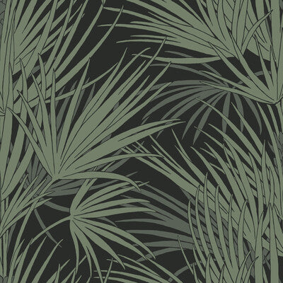 Samples and Purchasing available for Kravet Design - W3781-8 Black By Kravet Design |  | Tropical Wallcovering Print at Designer Wallcoverings and Fabrics