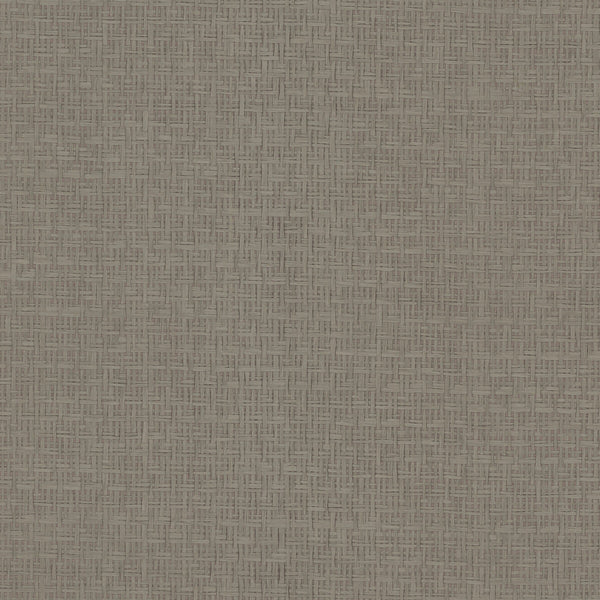 Samples and Purchasing available for Kravet Design - W3821-11 Grey By Kravet Design | Candice Olson Collection |Solid Texture Wallcovering Grasscloth at Designer Wallcoverings and Fabrics