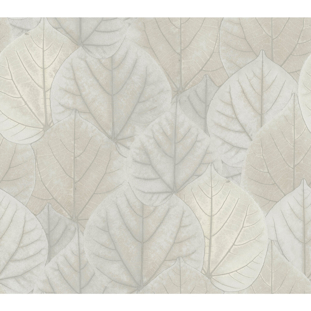 Samples and Purchasing available for Kravet Design - W3880-1101 Light Grey By Kravet Design | Candice Olson Modern Nature 2Nd Edition |Botanical & Floral Metallic Wallcovering Print at Designer Wallcoverings and Fabrics