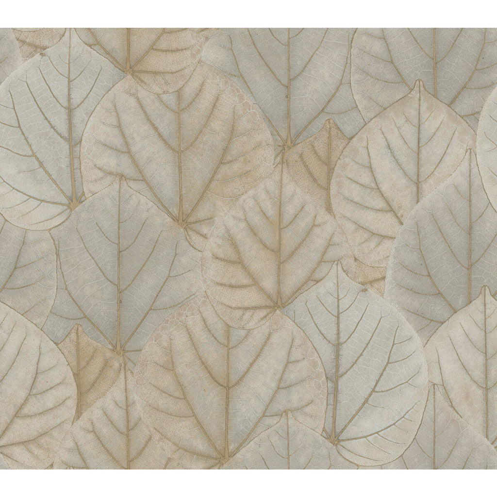 Samples and Purchasing available for Kravet Design - W3880-1611 Taupe By Kravet Design | Candice Olson Modern Nature 2Nd Edition |Botanical & Floral Metallic Wallcovering Print at Designer Wallcoverings and Fabrics