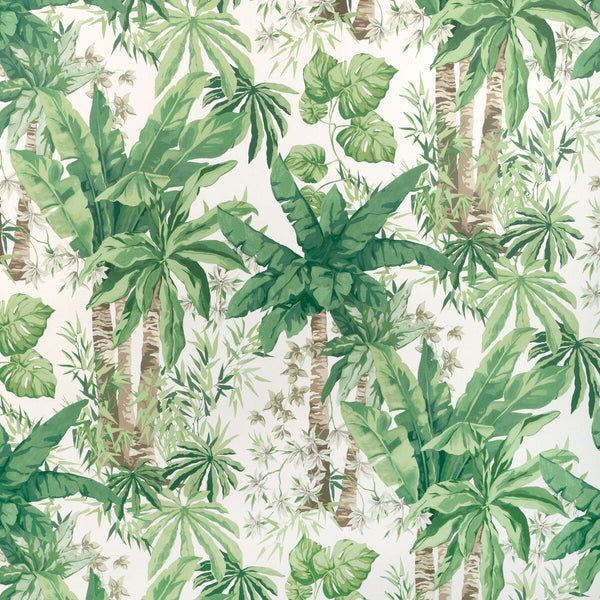 Samples and Purchasing available for Junglewood Wp - Verde Green By Kravet Couture | Casa Botanica Wallcovering | Botanical & Floral Wallcovering Print at Designer Wallcoverings and Fabrics