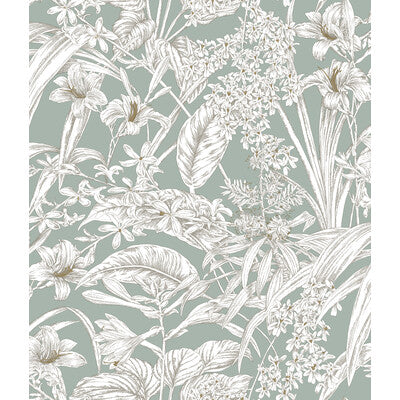 Samples and Purchasing available for Kravet Design - W4248-13 Turquoise By Kravet Design | Toiles Resource Library |Botanical & Floral Toile Wallcovering Print at Designer Wallcoverings and Fabrics