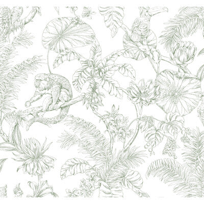 Samples and Purchasing available for Kravet Design - W4250-31 Green By Kravet Design | Toiles Resource Library |Animal/Insects Botanical & Floral Wallcovering Print at Designer Wallcoverings and Fabrics