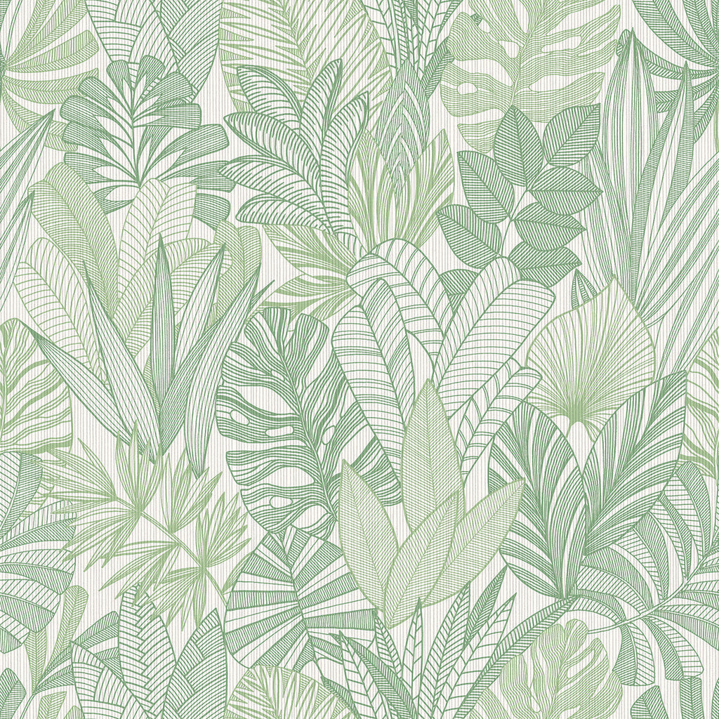 Samples and Purchasing available for Cornish Lane - Tropicale Green By Phillipe Romano | Phillipe Romano The Keys | Botanical & Floral Wallcovering Print at Designer Wallcoverings and Fabrics