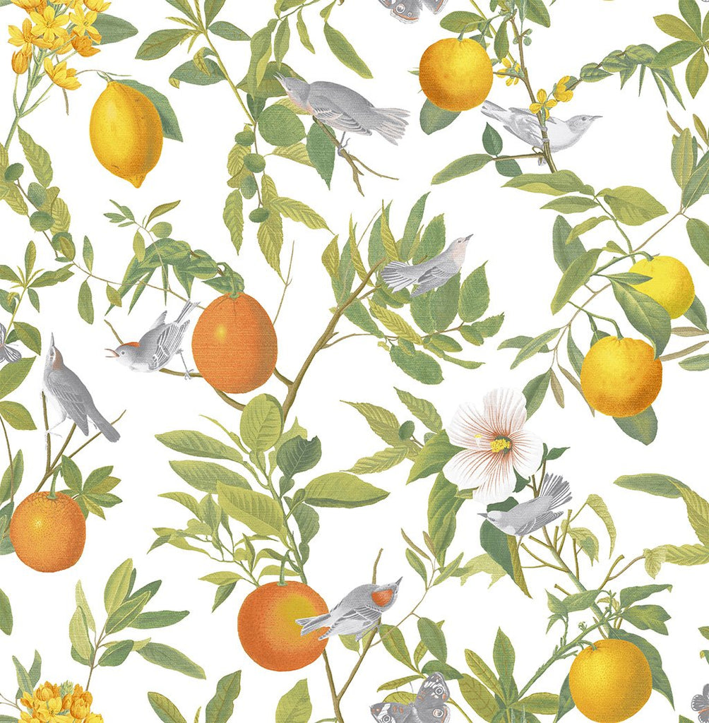 105641 Wallpaper Available Exclusively at Designer Wallcoverings