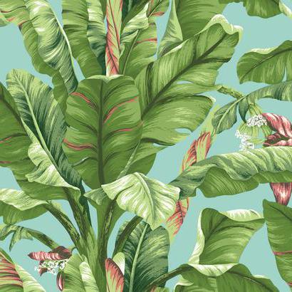 Banana Leaf Wallpaper | Jeffrey Stevens