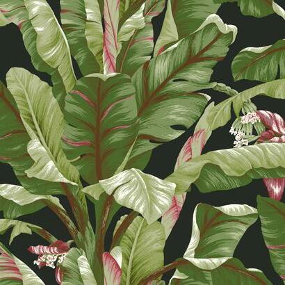 Banana Leaf Wallpaper | Jeffrey Stevens