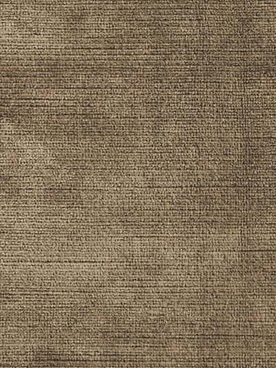 ANTIQUE VELVET - ERMINE - Scalamandre Fabrics, Fabrics - VPANTQ-776 at Designer Wallcoverings and Fabrics, Your online resource since 2007