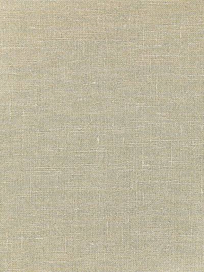 BANDOL METALLIC - CHAMPAGNE - SCALAMANDRE WALLPAPER - WTT661578 at Designer Wallcoverings and Fabrics, Your online resource since 2007